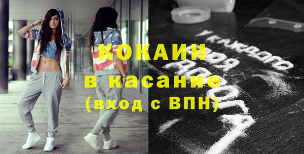 дживик Видное